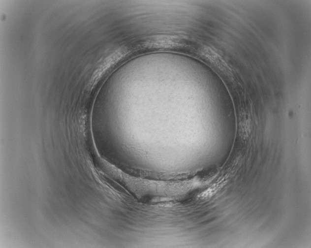 X0000059240111200510171442