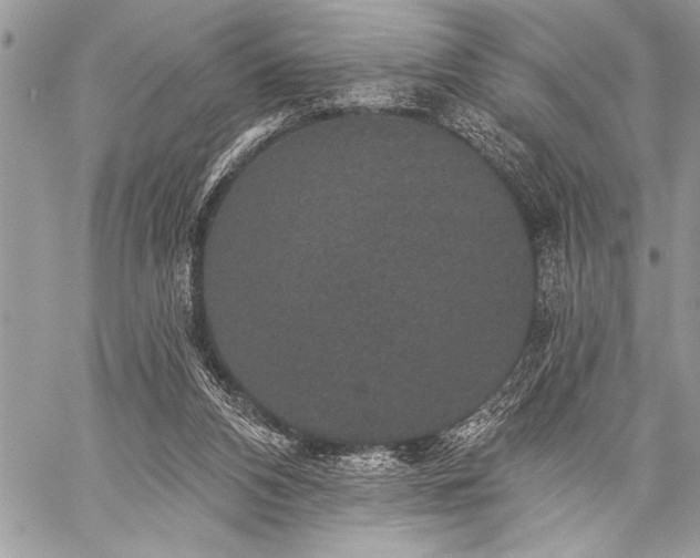 X0000059240112200510171442