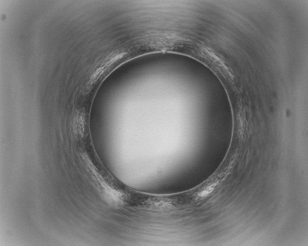 X0000059240113200510171442