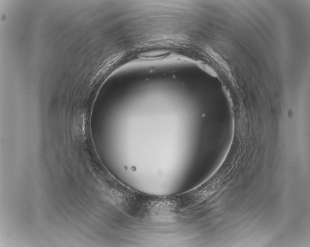 X0000059240115200510171442