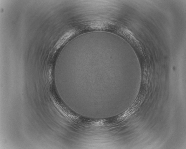 X0000059240116200510171442