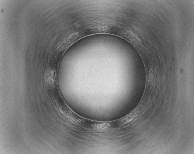 X0000059240122200510171441