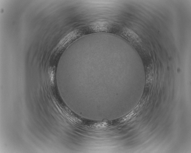 X0000059240124200510171441