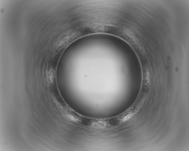 X0000059240125200510171441