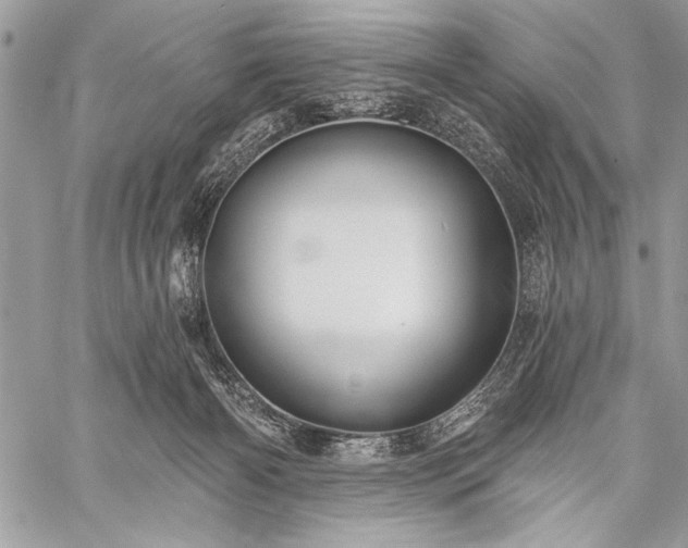 X0000059240126200510171441