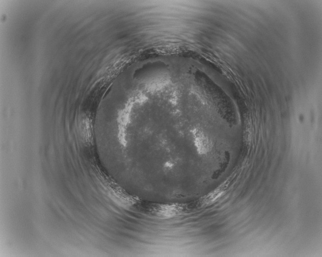 X0000059240130200510171441