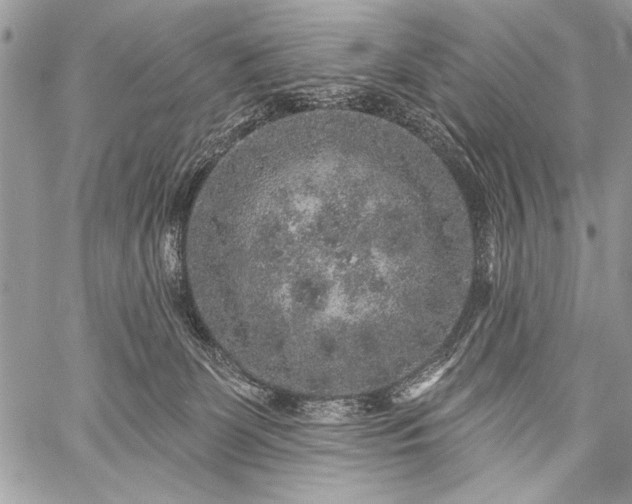 X0000059240131200510171441