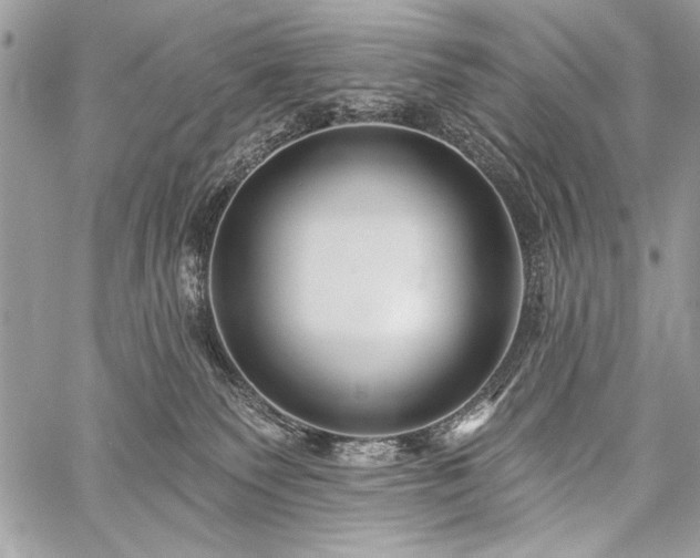 X0000059240135200510171441