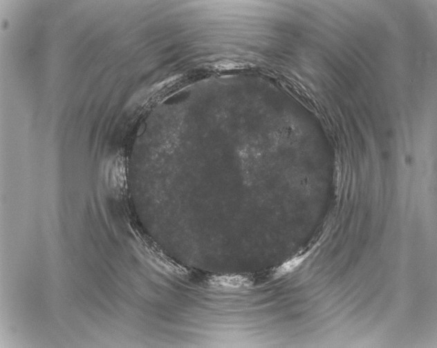 X0000059240137200510171441