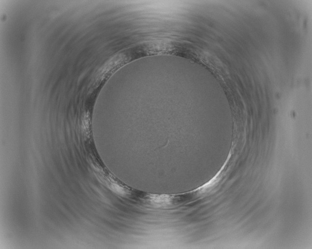 X0000059240144200510171441