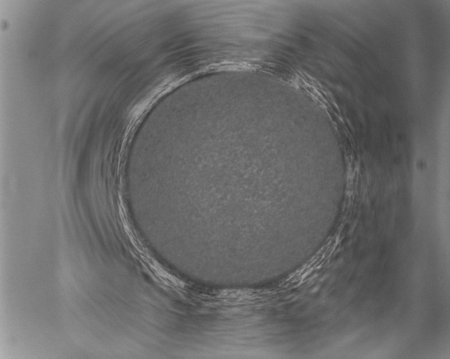 X0000059240145200510171440