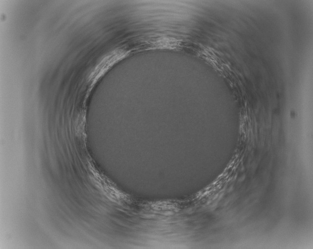 X0000059240146200510171440