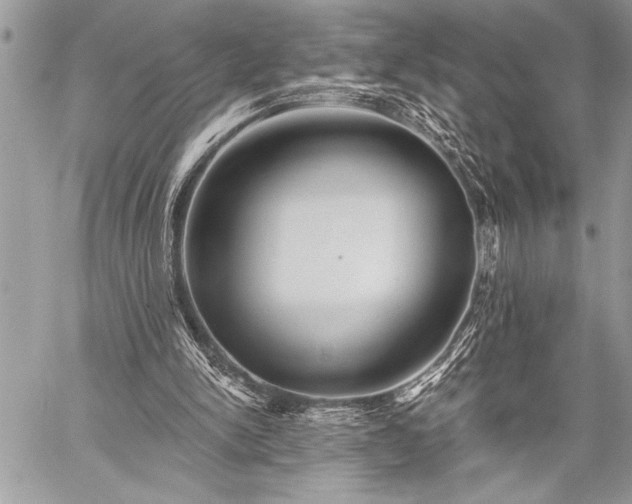 X0000059240150200510171440