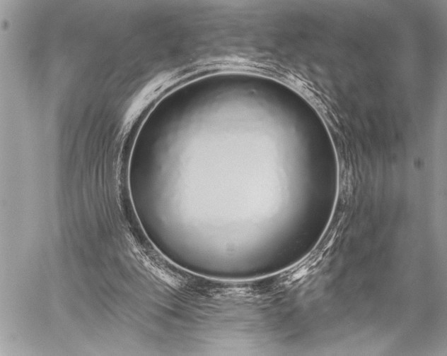 X0000059240151200510171440