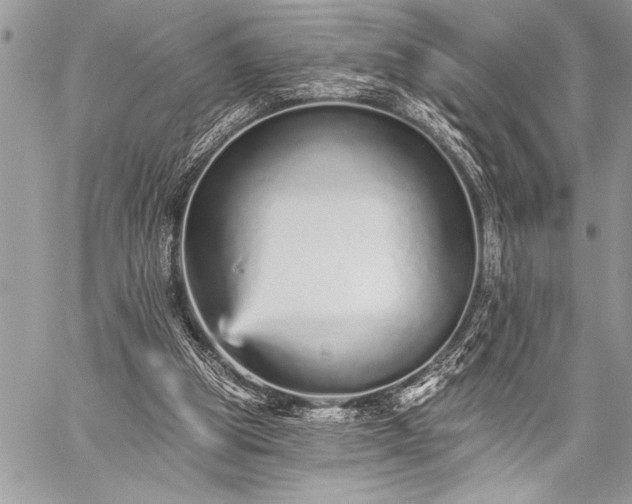 X0000059240153200510171440