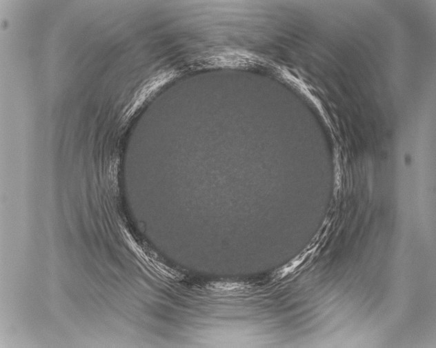 X0000059240154200510171440