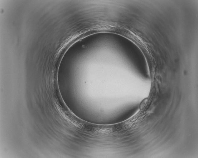 X0000059240155200510171440