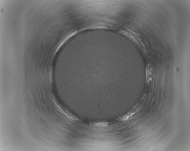 X0000059240156200510171440