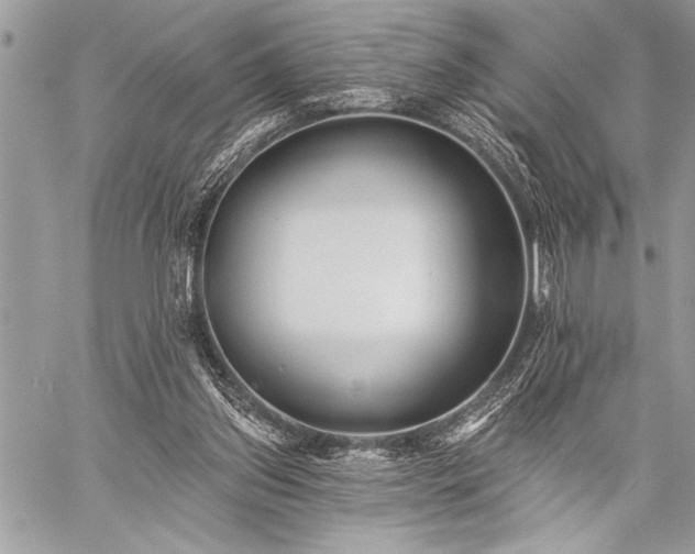 X0000059240157200510171440