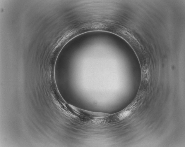 X0000059240158200510171440