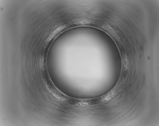 X0000059240159200510171440