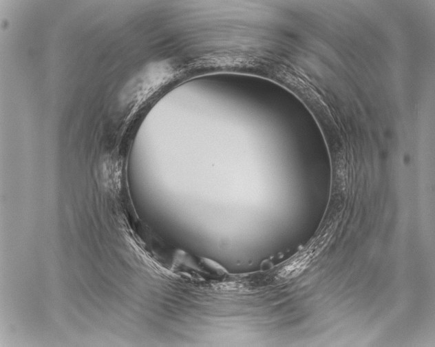 X0000059240160200510171440