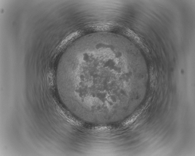 X0000059240161200510171440