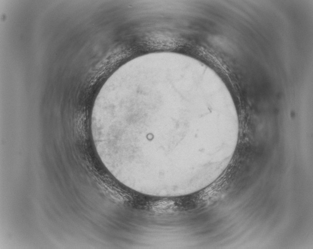 X0000059240162200510171440