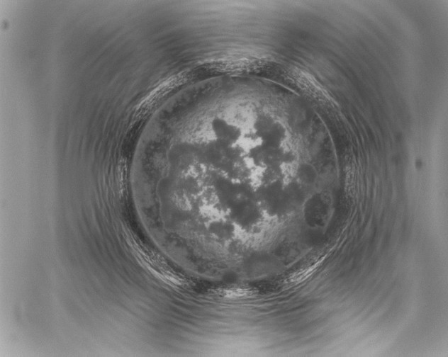 X0000059240165200510171440