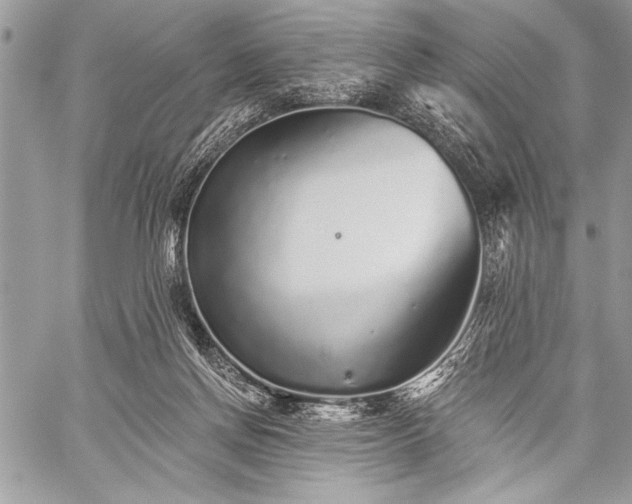 X0000059240166200510171440