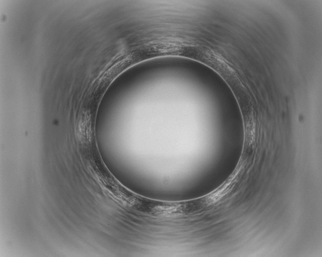 X0000059240170200510171441