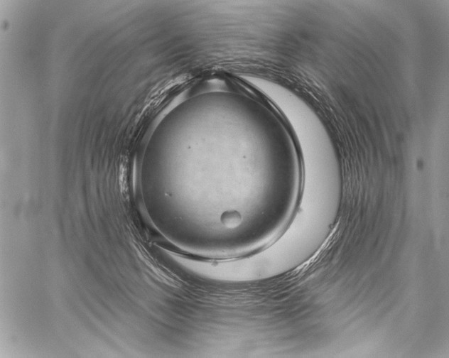 X0000059240175200510171441