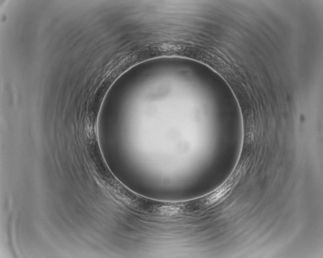 X0000059240176200510171441