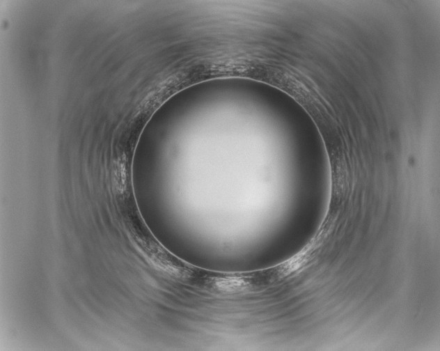 X0000059240183200510171441