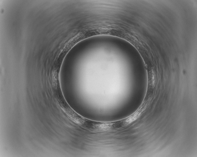 X0000059240184200510171441