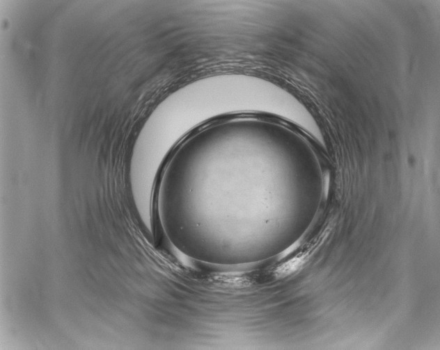 X0000059240185200510171441