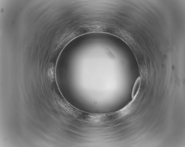 X0000059240190200510171441