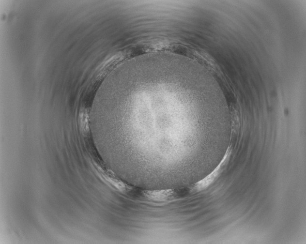 X0000059240191200510171441