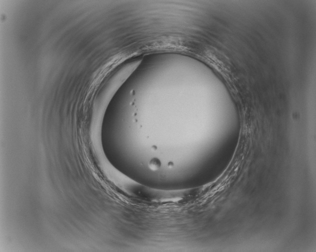 X0000059240193200510171440