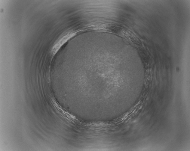 X0000059240194200510171440