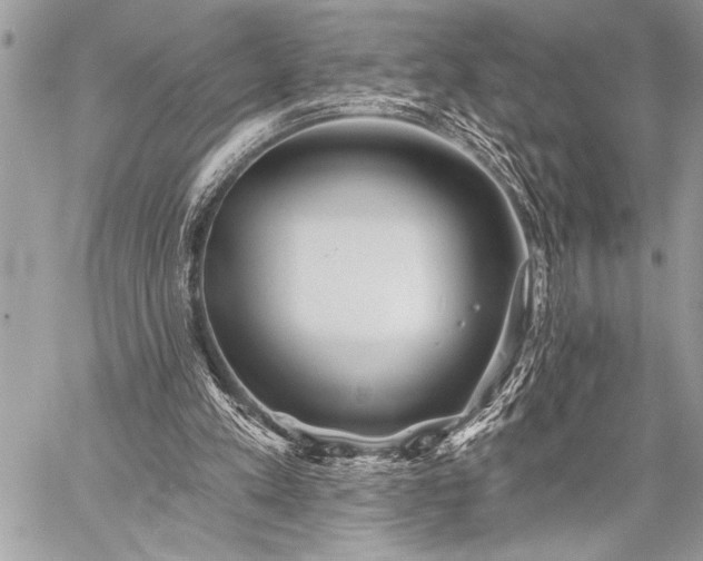 X0000059240197200510171440