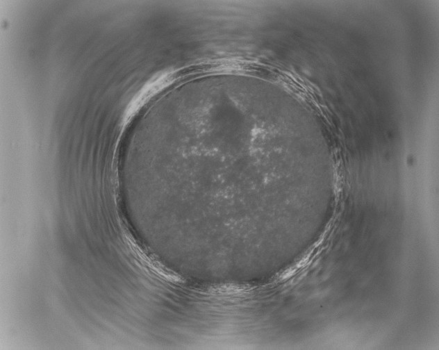 X0000059240198200510171440