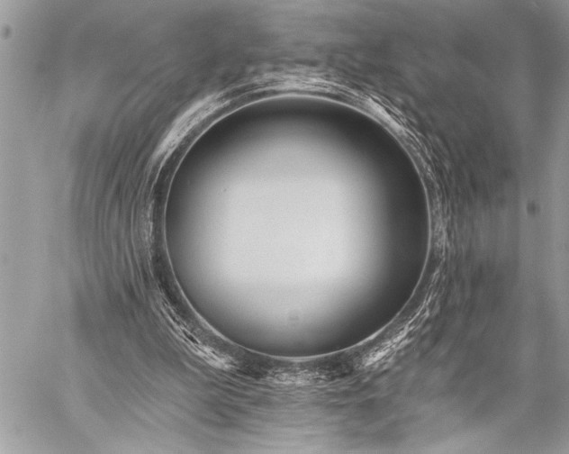 X0000059240199200510171440