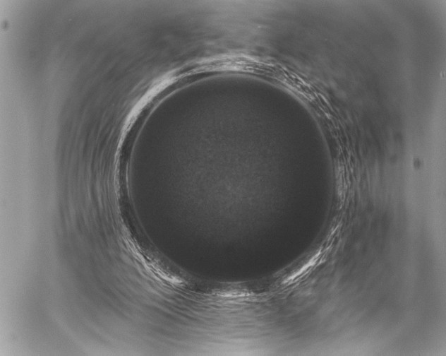 X0000059240200200510171440