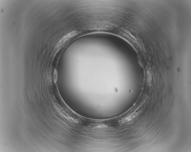 X0000059240203200510171440