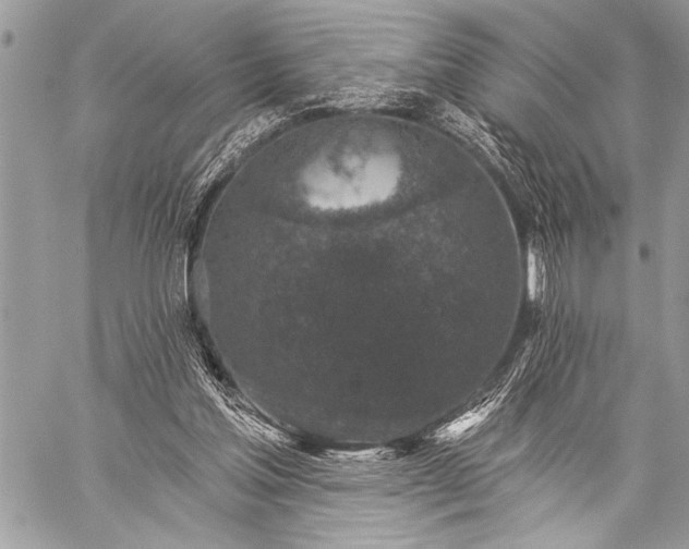 X0000059240205200510171440