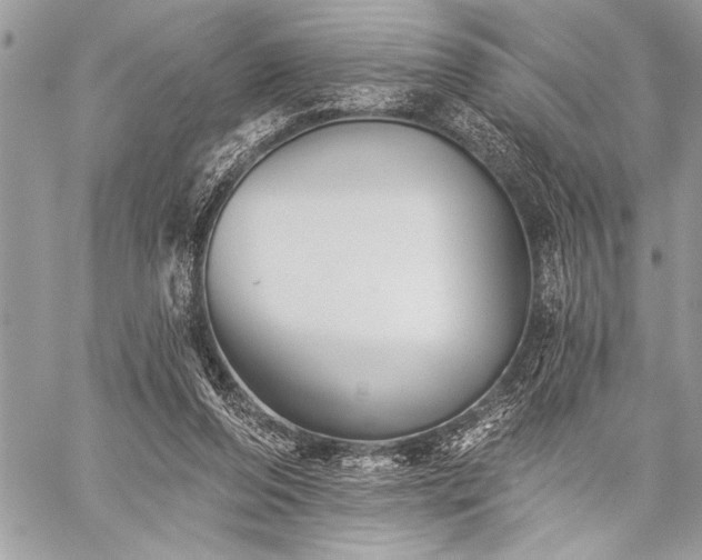 X0000059240208200510171440