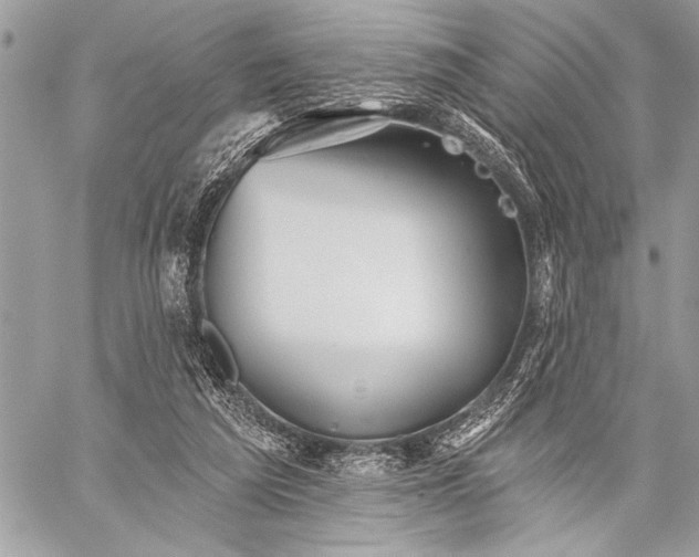 X0000059240209200510171440