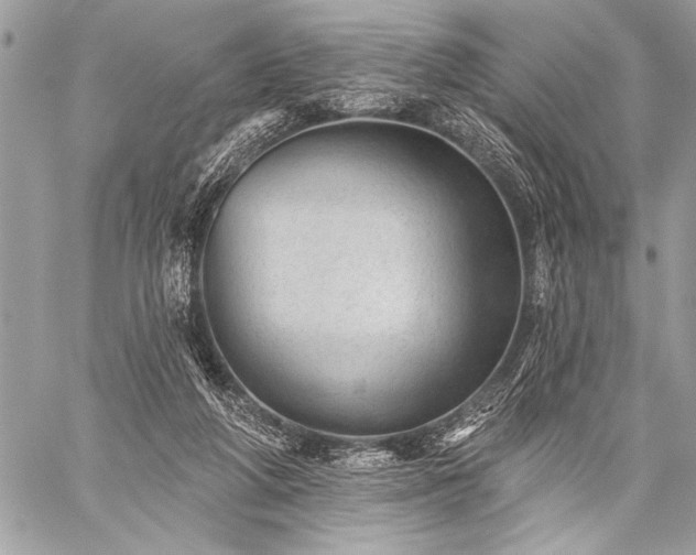 X0000059240210200510171440