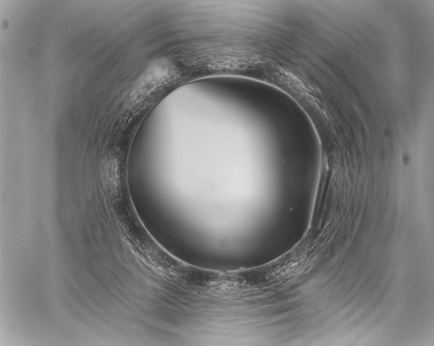 X0000059240211200510171440